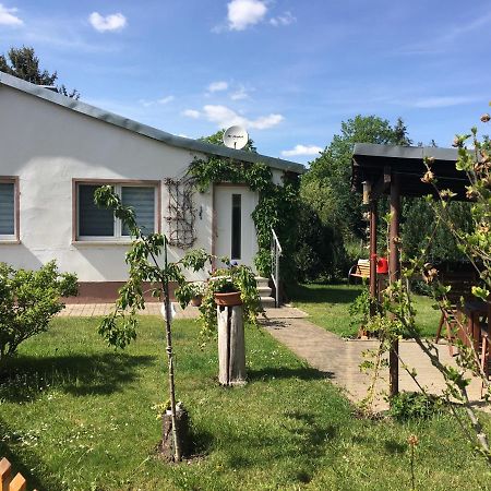 Ferienhaus An Der Selke Meisdorf Dış mekan fotoğraf